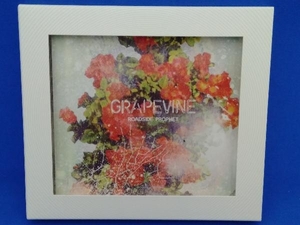 GRAPEVINE CD ROADSIDE PROPHET(20th Anniversary Limited Edition)(初回限定盤)(DVD付)