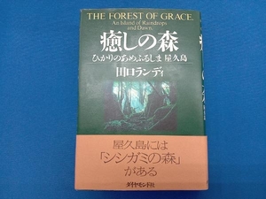 ... forest Taguchi Randi 