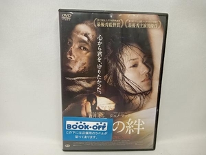 DVD 復讐の絆 Revenge:A Love Story　蒼井そら　アジア映画