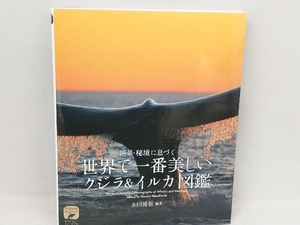 世界で一番美しいクジラ&イルカ図鑑 水口博也