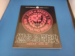 燃える闘魂(格闘技世界一決定戦編) メディアミックス書籍部