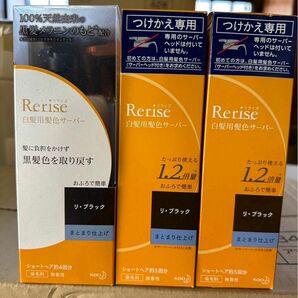 ブローネ リライズ まとまり仕上げ 190g×2本・155g×1本