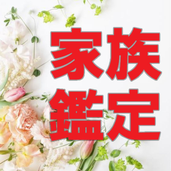 家族鑑定★ご家族4名様じっくり占います★匿名配送にて鑑定書送付★霊視★スピリチュアル★カルマ★因縁★ご先祖様☆守護霊様
