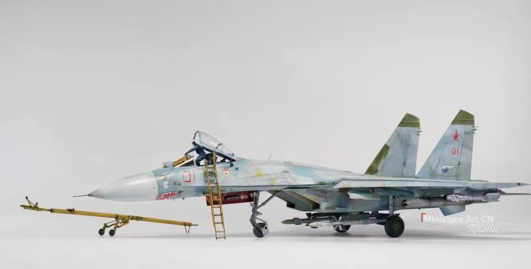 1/48 Су-27 ВВС России собран и покрашен готовое изделие., пластиковая модель, самолет, Готовый продукт