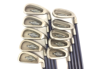 Callaway BIG BERTHA X-12 IRONS アイアン 10本 セット 3~9 P A S ゴルフ クラブ キャロウェイ 中古 G8474614