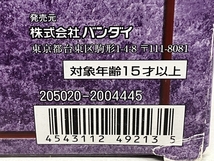 BANDAI 205020-2004445 聖闘士星矢 冥王 ハーデス冥界編 聖闘士聖衣神話 ハーデス瞬 購入キャンペーン 特別限定品 中古S8596099_画像10