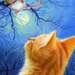 新品ダイヤモンドアート20×30月夜のネズミ君とネコさん　夜空　かわいい猫とかわいいねずみ 絵画