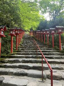 相互評価 フリー画像 送料無料 即決1円 24時間以内対応 神社 おしゃれな画像