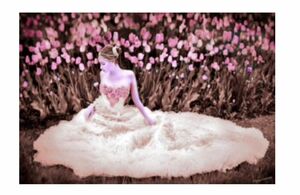 デジタルアートの鬼才Piero Hearts 人物画　「花嫁」 真作 額装付き
