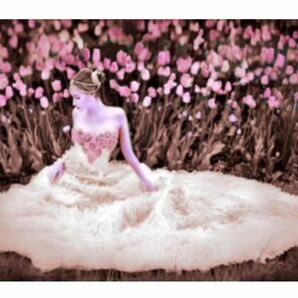 デジタルアートの鬼才Piero Hearts 人物画　「花嫁」 真作 額装付き