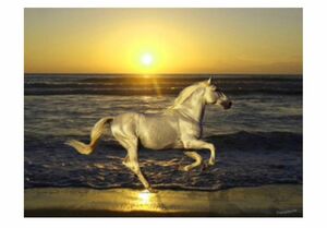 デジタルアートの鬼才　Piero Hearts 風景画　「海辺を走る馬」真作　額装付き