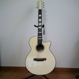 Pro Martin Customアコースティックギター ジャンク品