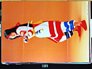 [New] [Delivery Free]1990s Game Charge SAMURAI SPIRITS/Reiko Chiba BothSided Poster サムライスピリッツ ナコルル＆千葉麗子[tag2202]