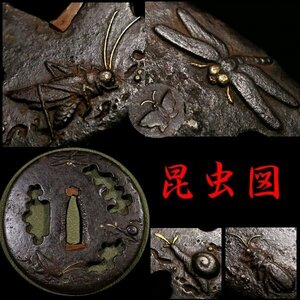 【刀装具 #3304】 ≪A級≫ （鍔） 名作「虫尽くし」図 （勝虫 蝸牛 飛蝗 蝶） 鉄地 透かし鍔　金銀象嵌色絵 【鉄味抜群の一品です】