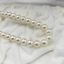 1円〜 照り強 極美品 アコヤ真珠 あこや パール ネックレス 7.5mm〜8.0mm 44cm シルバー SILVER 刻印 総重量39.2g 本真珠 冠婚葬祭_画像4