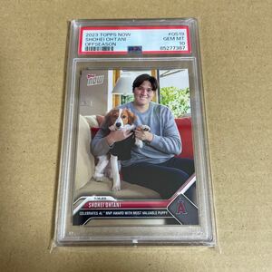 【PSA10】GEM MINT 2023 Topps Now OS-19 大谷翔平 デコピン MVP 犬 Shohei Ohtani PSA鑑定 MLB