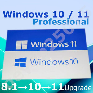【即応】 Windows 10 & 11 pro / 7→10無償アップグレード /ダウンロード版