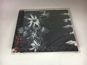 H022 ■「未開封CD」シングルCD　Dir en grey / ain’t afraid to die ■ ディル・アン・グレイ　SFCD-0005【同梱不可】