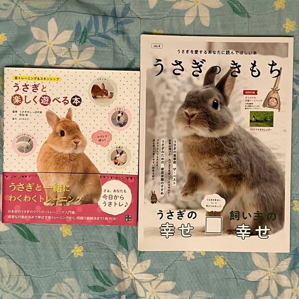 うさぎの本　2冊セット