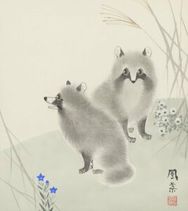 Art hand Auction Сайто Оториха Тануки цветная бумага в рамке для фотографий/рисование животных енотовидная собака, рисование, Японская живопись, цветы и птицы, птицы и звери