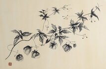 今井政之「風船葛」水墨 絵画 額装品 珍品 / 植物画 陶芸家 水墨画 水彩画_画像1