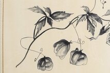 今井政之「風船葛」水墨 絵画 額装品 珍品 / 植物画 陶芸家 水墨画 水彩画_画像6