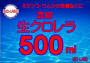 生クロレラ　500ｍｌミジンコ培養　グリーンウォーター　青水