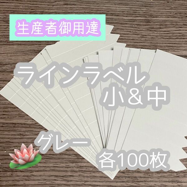 ラインラベル 小 中セット 各100枚 園芸ラベル カラーラベル 多肉植物