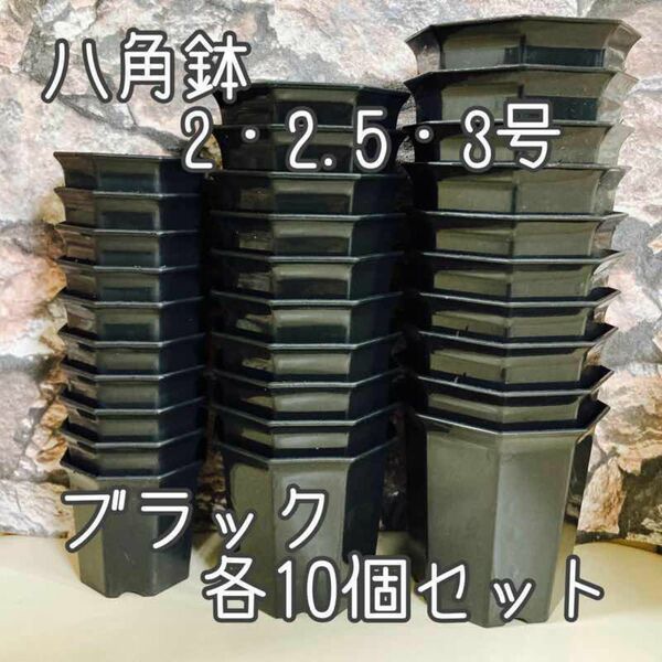 八角鉢ブラックセット◎各10個◎2号・2.5号・３号 アガベ 多肉植物