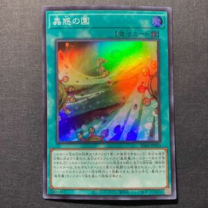 A020】蟲惑の園 SR 遊戯王 デュエルモンスターズ TCG トレカ カード