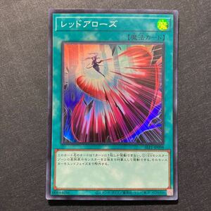 A023】レッドアローズ SR 遊戯王 デュエルモンスターズ TCG トレカ カード