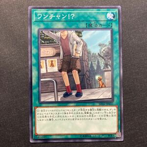 A024】ワンチャン 遊戯王 デュエルモンスターズ TCG トレカ カード