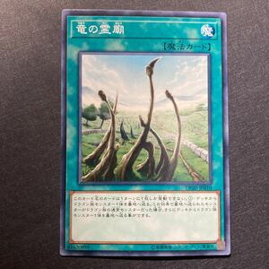 A005】竜の霊廟 ノーマル 遊戯王 デュエルモンスターズ TCG トレカ カード