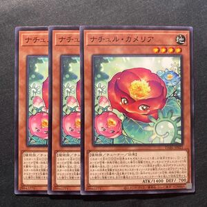 A027】ナチュル・カメリア 3枚セット 遊戯王 デュエルモンスターズ TCG トレカ カード