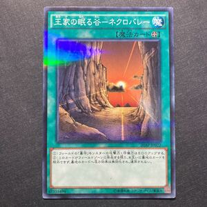 A029】王家の眠る谷 ネクロバレー 遊戯王 デュエルモンスターズ TCG トレカ カード