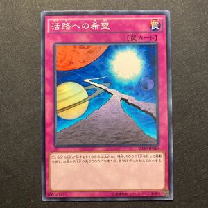 A029】活路への希望 遊戯王 デュエルモンスターズ TCG トレカ カード