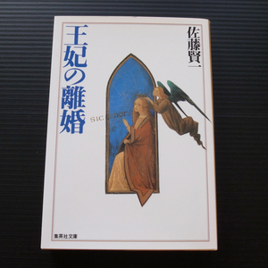 ●佐藤賢一「王妃の離婚」●美品*集英社文庫