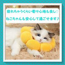 ひまわり型 エリザベスカラー Mサイズ ソフト ひまわり 猫 犬 ペット 保護_画像2