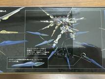 即決 MG 1/100 ストライクフリーダムガンダム フルバーストモード(スペシャルバージョン 新品 SEED DESTINY/SEED FREEDOM/ガンプラ/キラ_画像7