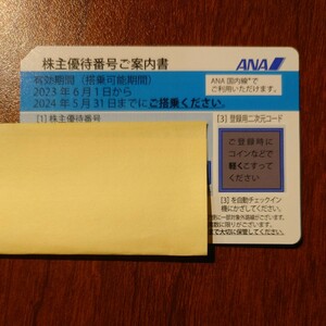 【送料無料】ANA 株主優待券 1枚 2024年5月31日まで 郵送あり