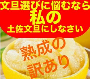 土佐文旦：追熟の極み訳あり3kg