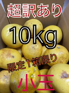 超訳あり土佐文旦　 小玉10kg