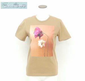 LISA KING Flower Tee XS ブラウン コットン ボタニカルフォトプリント Drawer購入 ネコポスOK