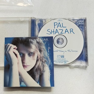 Pal Shazar - There's A Wild Thing In The House 1994年　Jules Shear Mike Scott UK盤