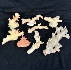 【売り切り】赤珊瑚 桃色珊瑚 白珊瑚 等 原木 珊瑚 サンゴ 枝 原木 観賞 コーラル 置物 547g まとめ売り