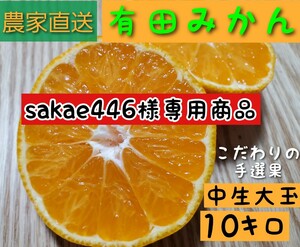 sakae446様専用商品　有田みかん　中生大玉　10キロ