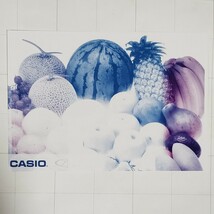 【送料無料】CASIO カシオ★プリン写ル★PCP-1300_画像8