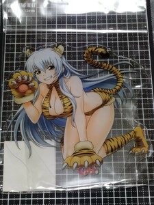 新品　戦国乙女　シンゲン　アクリルスタンド　コスチュームチェンジVer.　ゲーマーズ