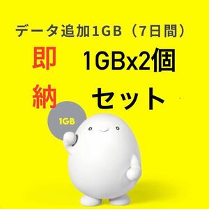 【即納】povo プロモコード 1GB x2個セット(2回分)