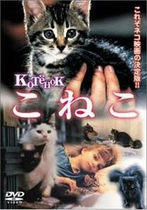 こねこ 旅するチグラーシャ【字幕】 レンタル落ち 中古 DVD